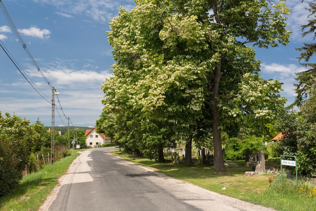 Bordoma Falusi Vendeghaz Balatonszolos Exterior foto